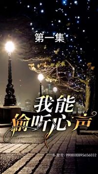 ����͵������