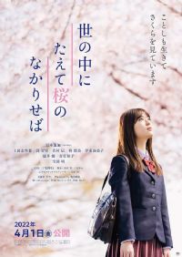 ��������ӣ