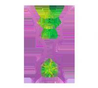 �������ޱ� ������vs�Ĵ�����20250810